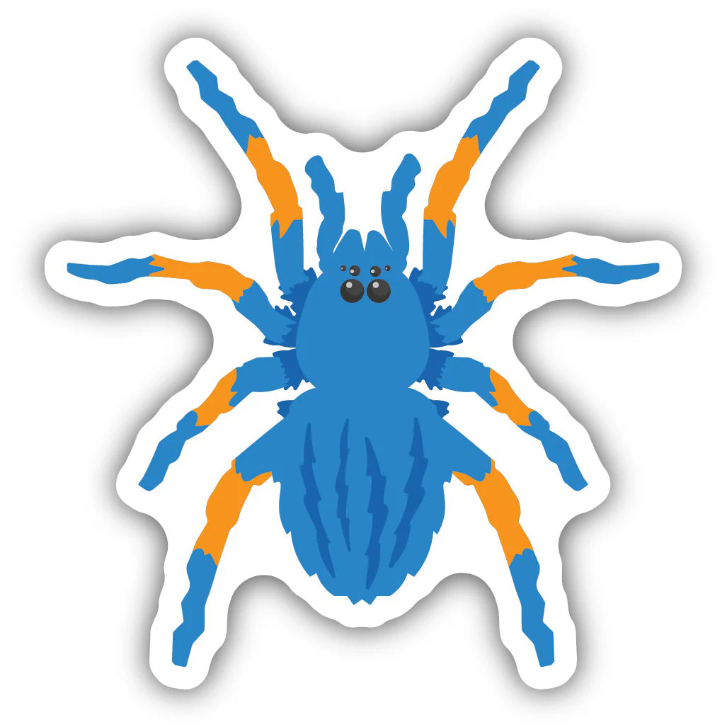 Blue Tarantula - Vinyl Sticker
