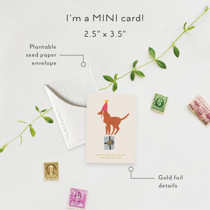 Birthday Dog Sprout - Mini Greeting Card