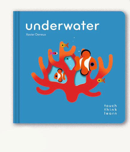 TouchThinkLearn: Underwater