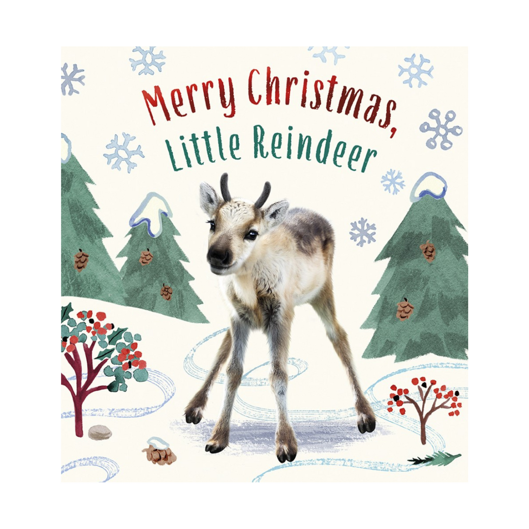 Merry Christmas, Little Reindeer