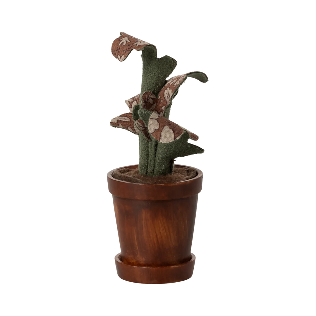 Flower pot with plant