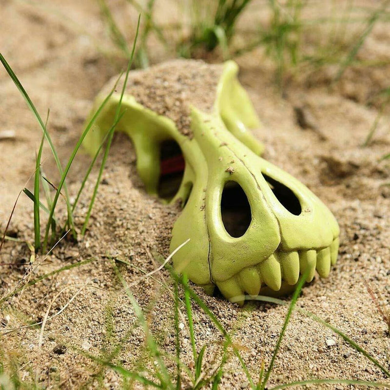 Dino Head Sand Toy