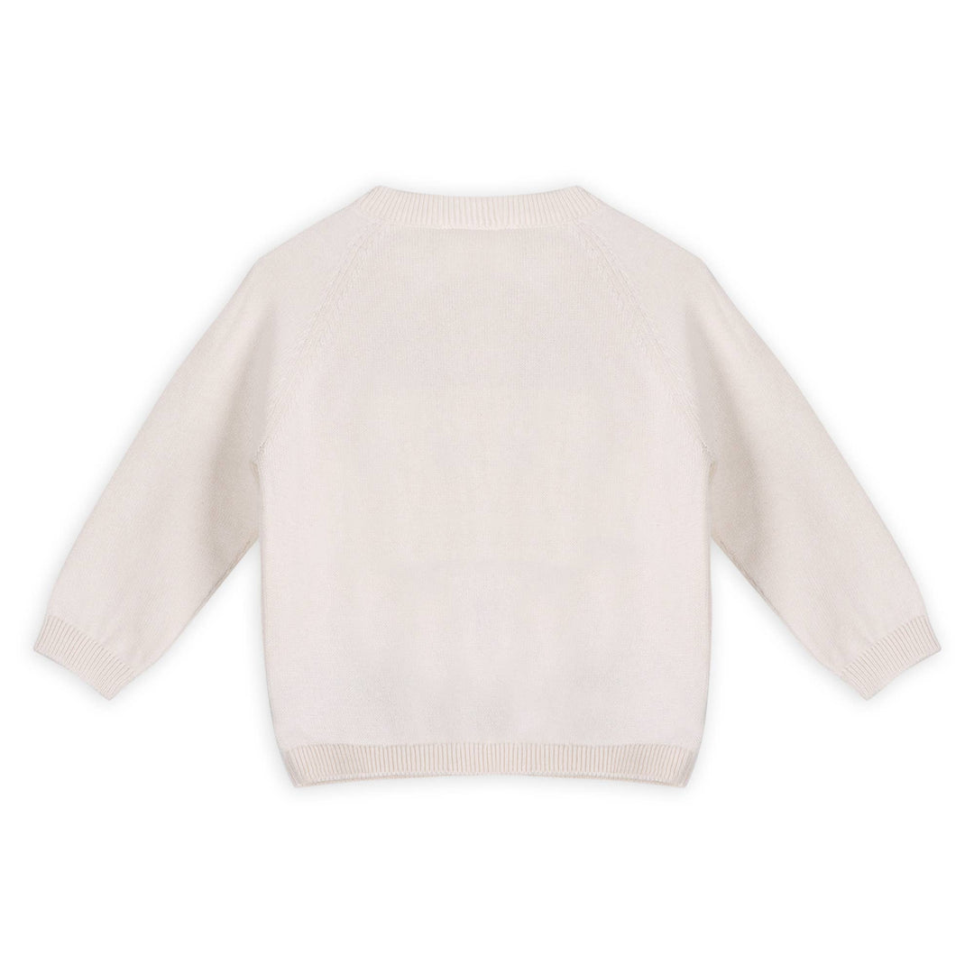 Dino Jacquard Knit Pullover