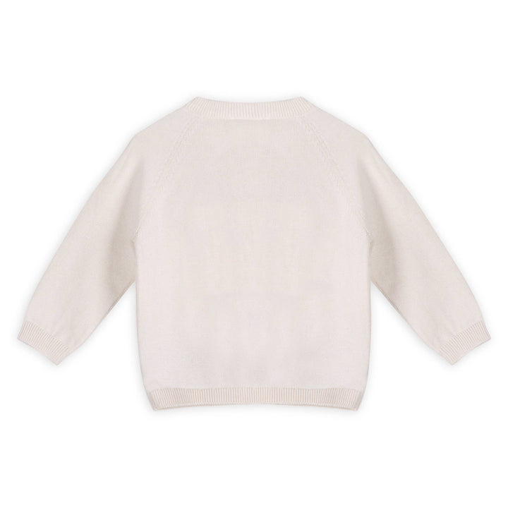 Dino Jacquard Knit Pullover