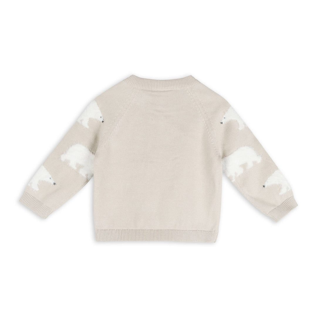 Polar Bear Sweater Pullover & Pants