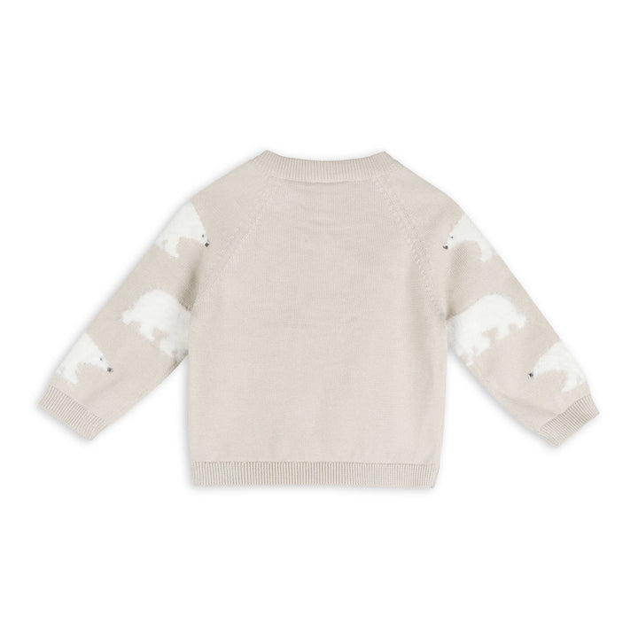 Polar Bear Sweater Pullover & Pants