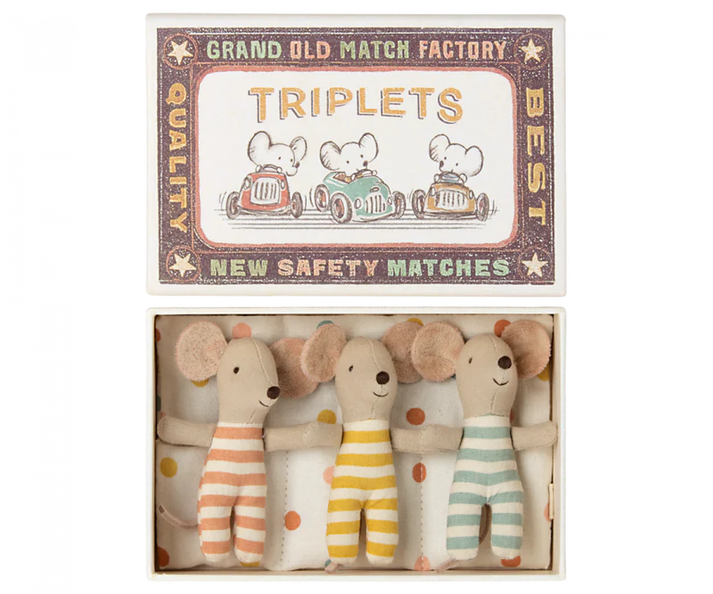 Baby Triplets in Matchbox