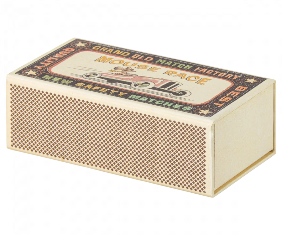 Big Sister Mouse in Matchbox