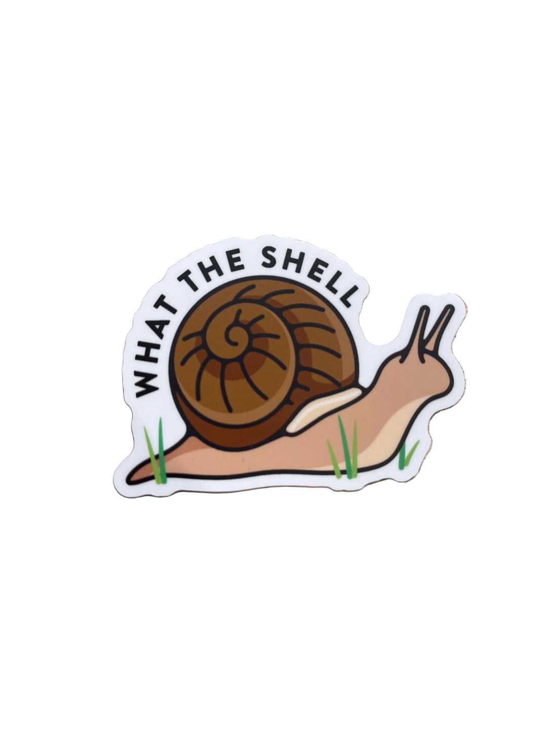 What the Shell - Vinyl Sticker