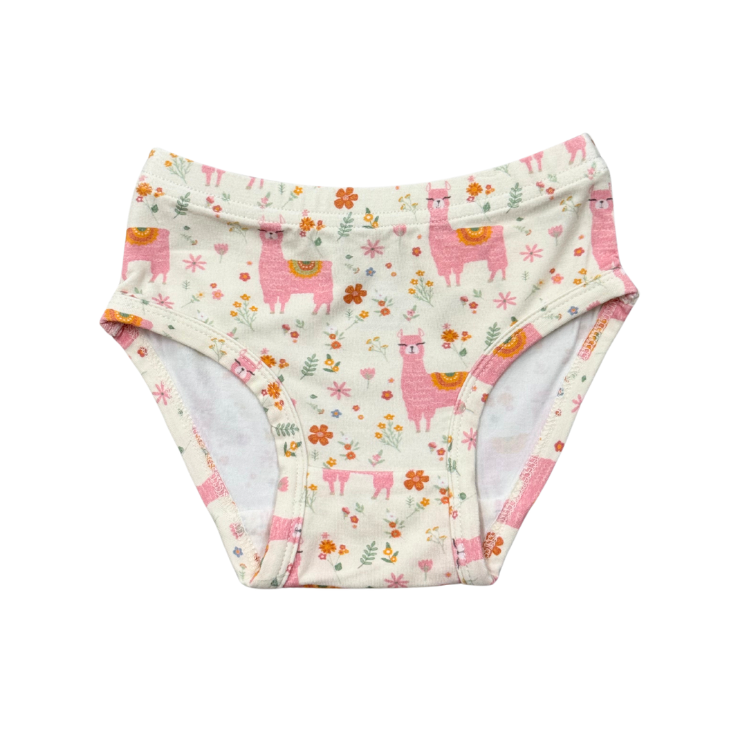 Girl's Underwear - Pair
