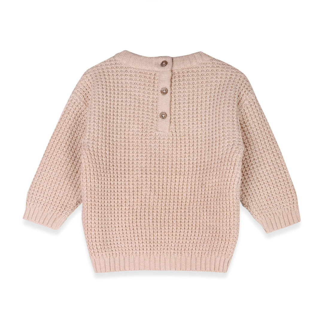 Little Dude Embroidered Sweater