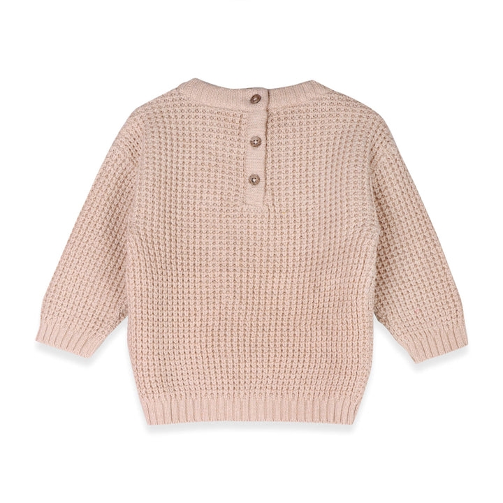 Little Dude Embroidered Sweater