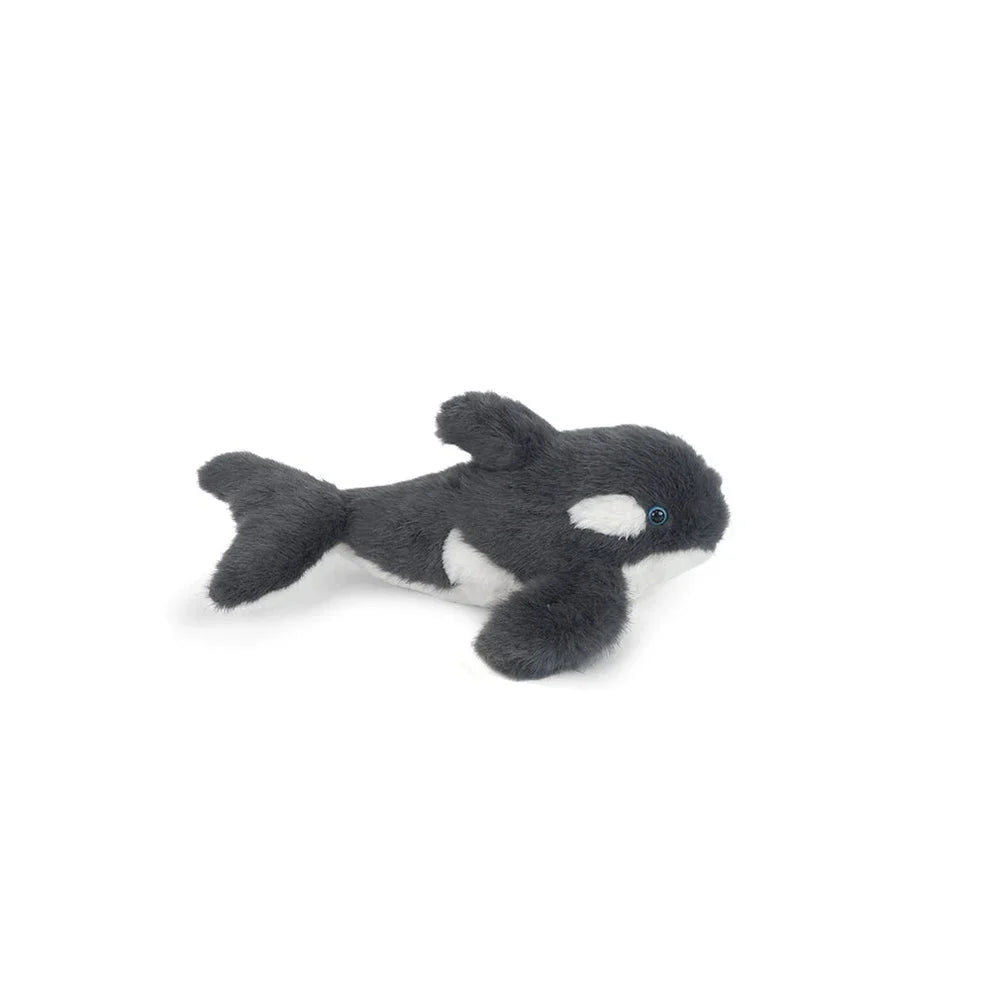 Orca Whale