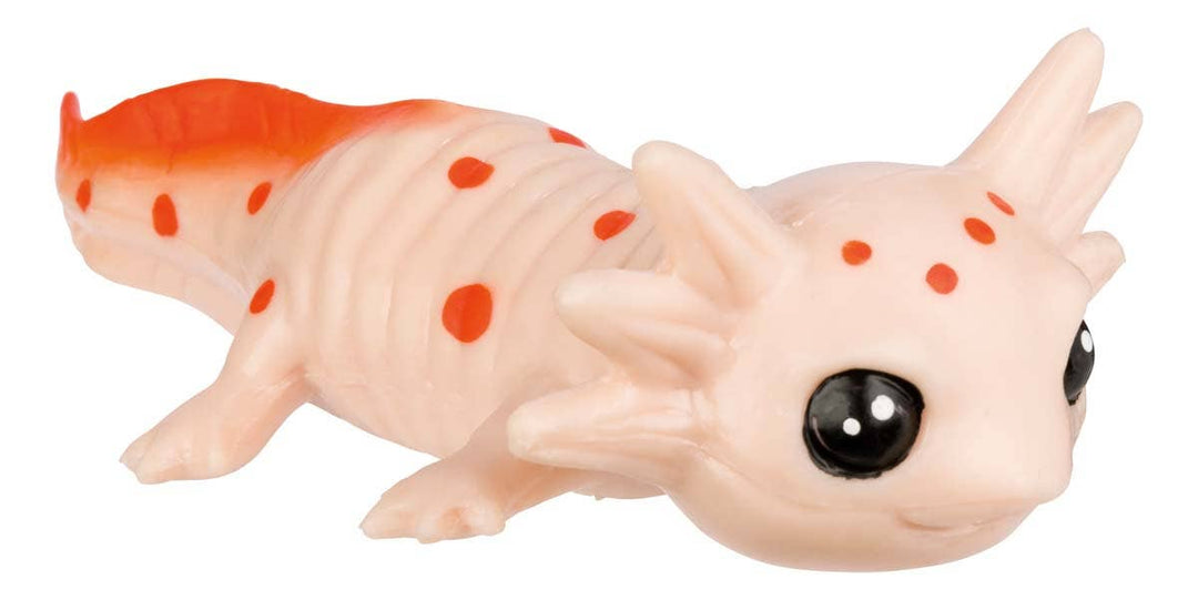 Aquoddities Squishimals