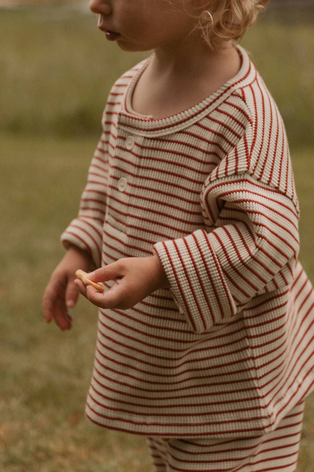 Micky Set - Turtledove Stripe