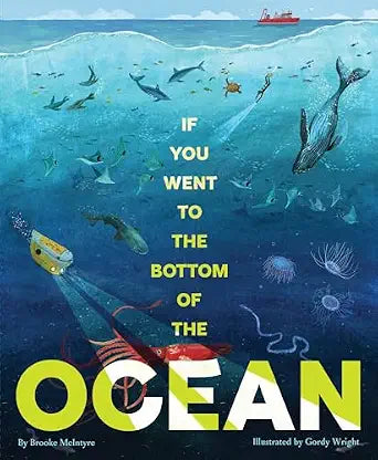 If You Went to the Bottom of the Ocean