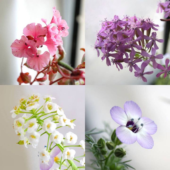 Moon - Plantable Seed Paper Greeting Card