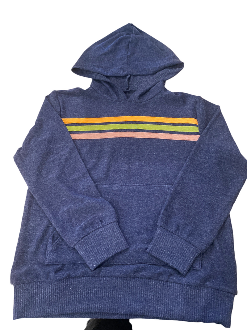 Blue Striped Hoodie