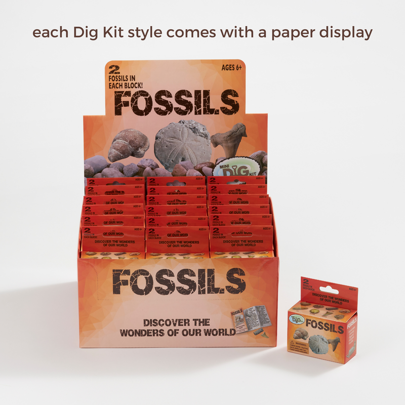 Mini Excavation Kit: Dino Skeletons