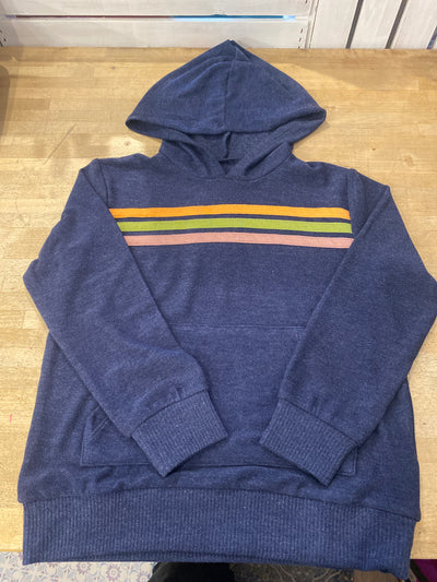 Blue Striped Hoodie