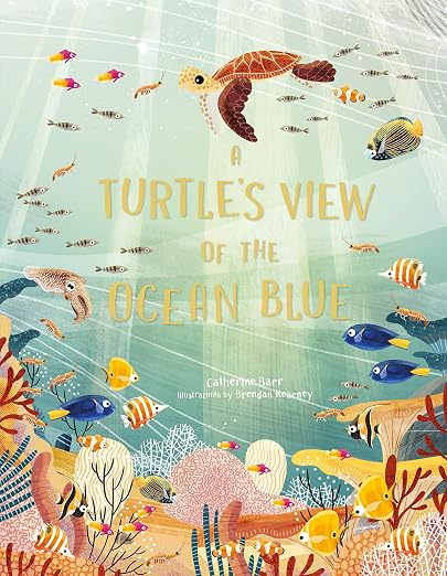 A Turtle's View of the Ocean Blue