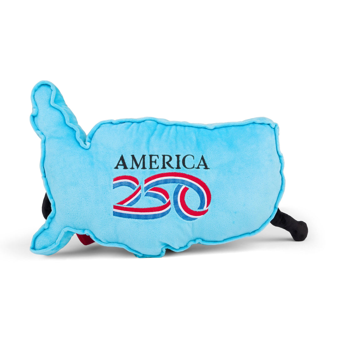 Map 250th Anniversary