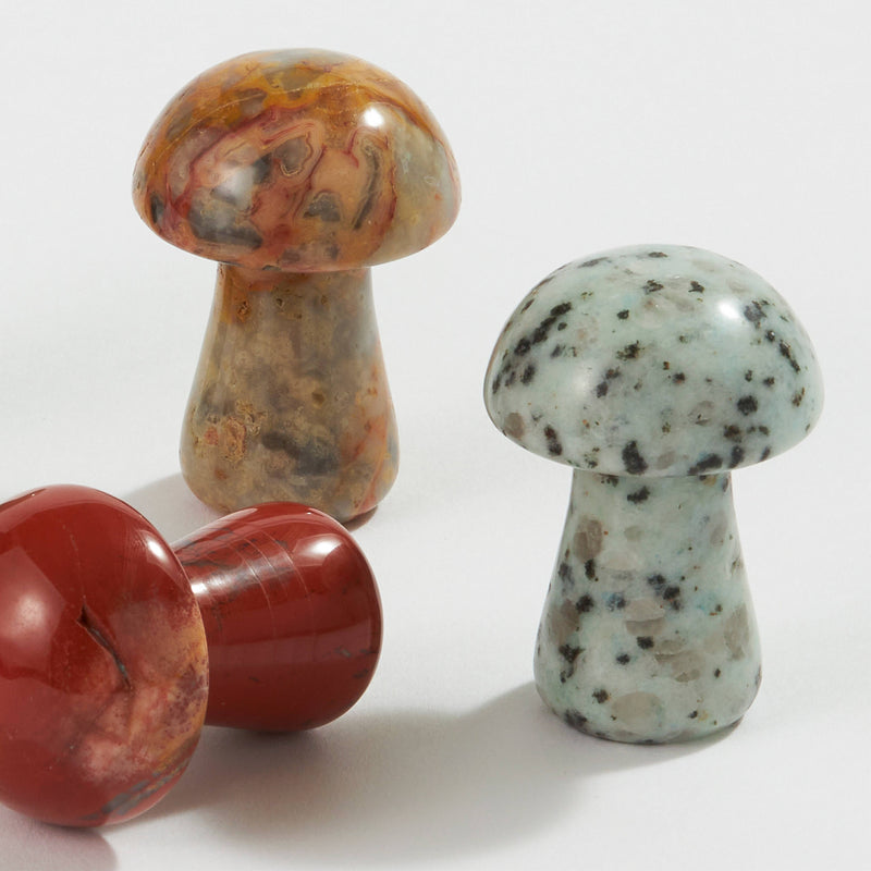 Medium Stone Mushroom