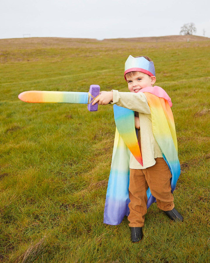 Shield - Rainbow