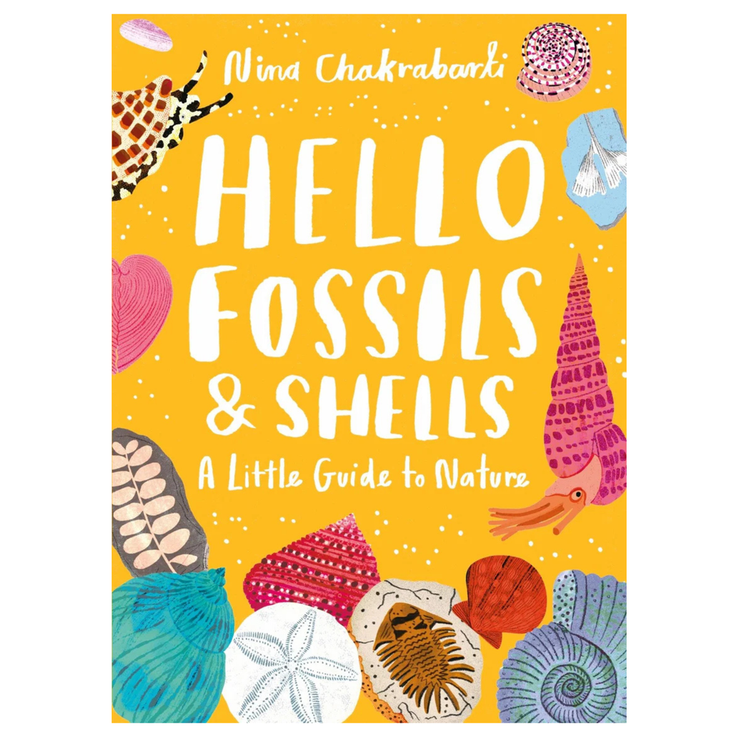 Little Guides to Nature: Hello Fossils and Shells