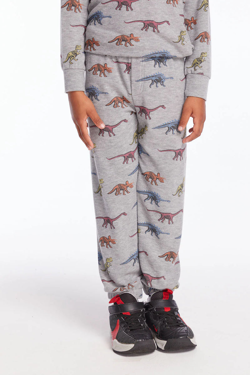 Skeleton Dinos No Side Seam Joggers