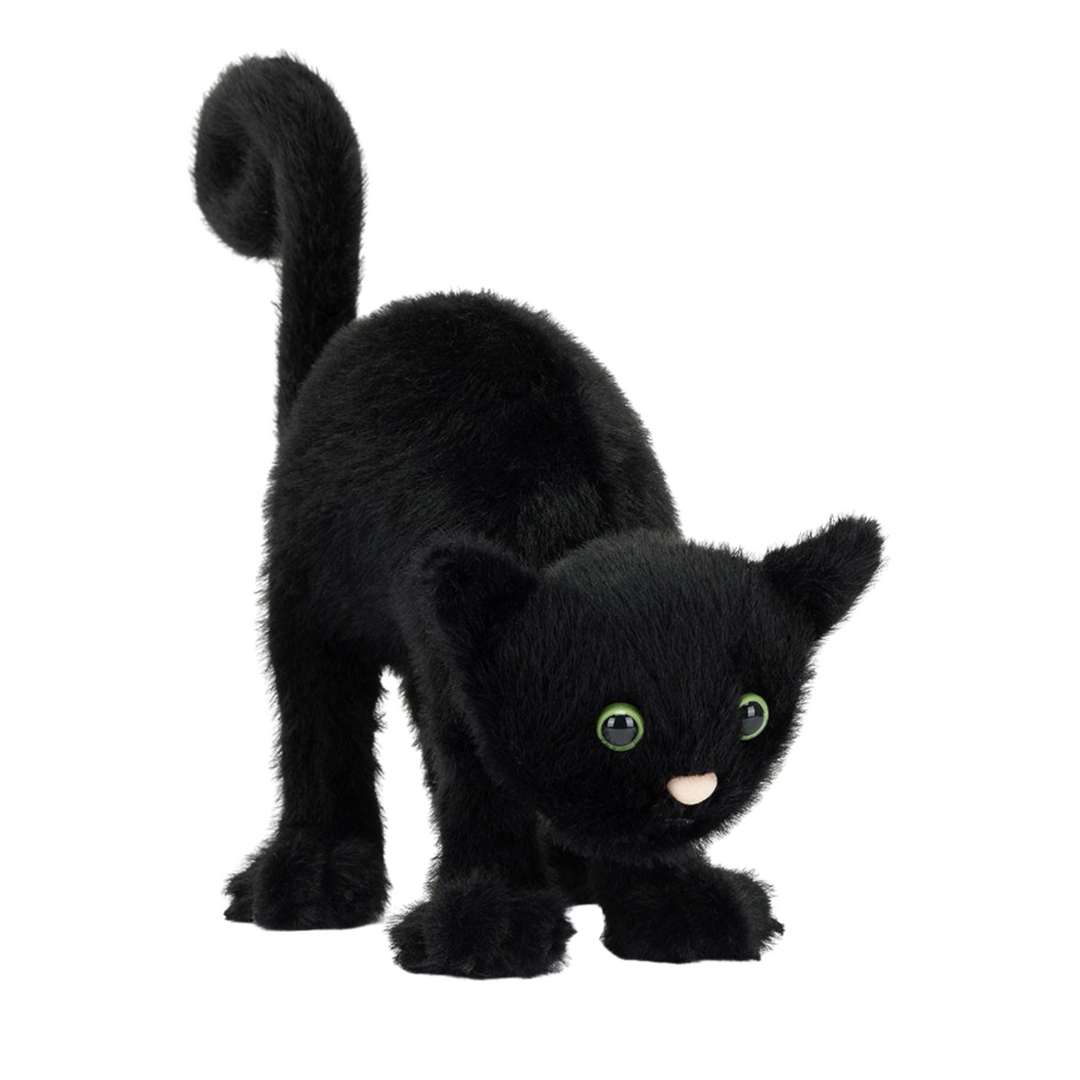 Spookipaws Cat