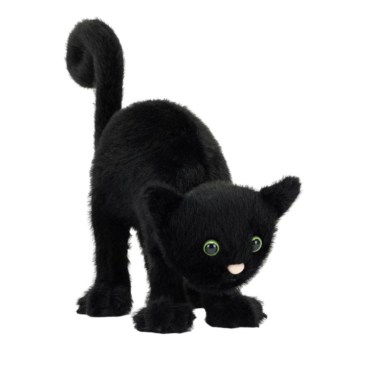 Spookipaws Cat