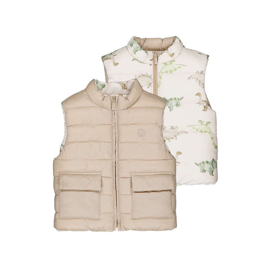 Reversible Vest - Dinosaur