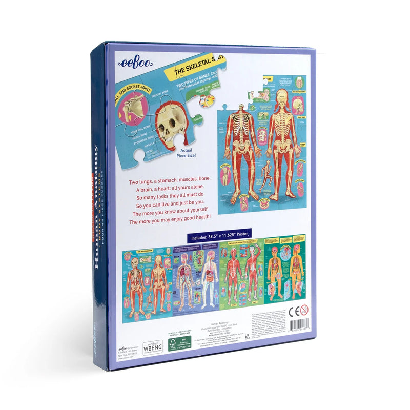 Human Anatomy 4-Piece 48 Piece Puzzle Set