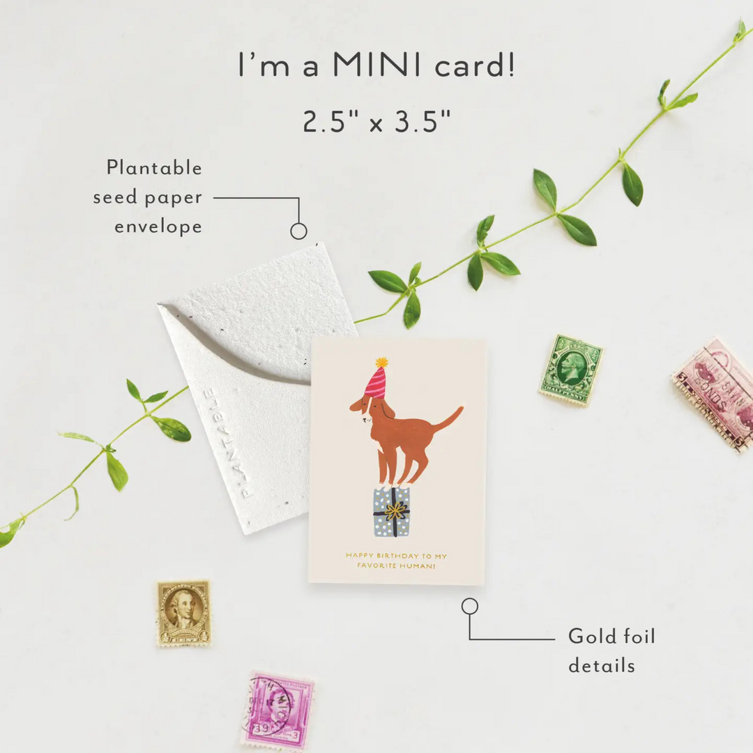 Birthday Dog Sprout - Mini Greeting Card