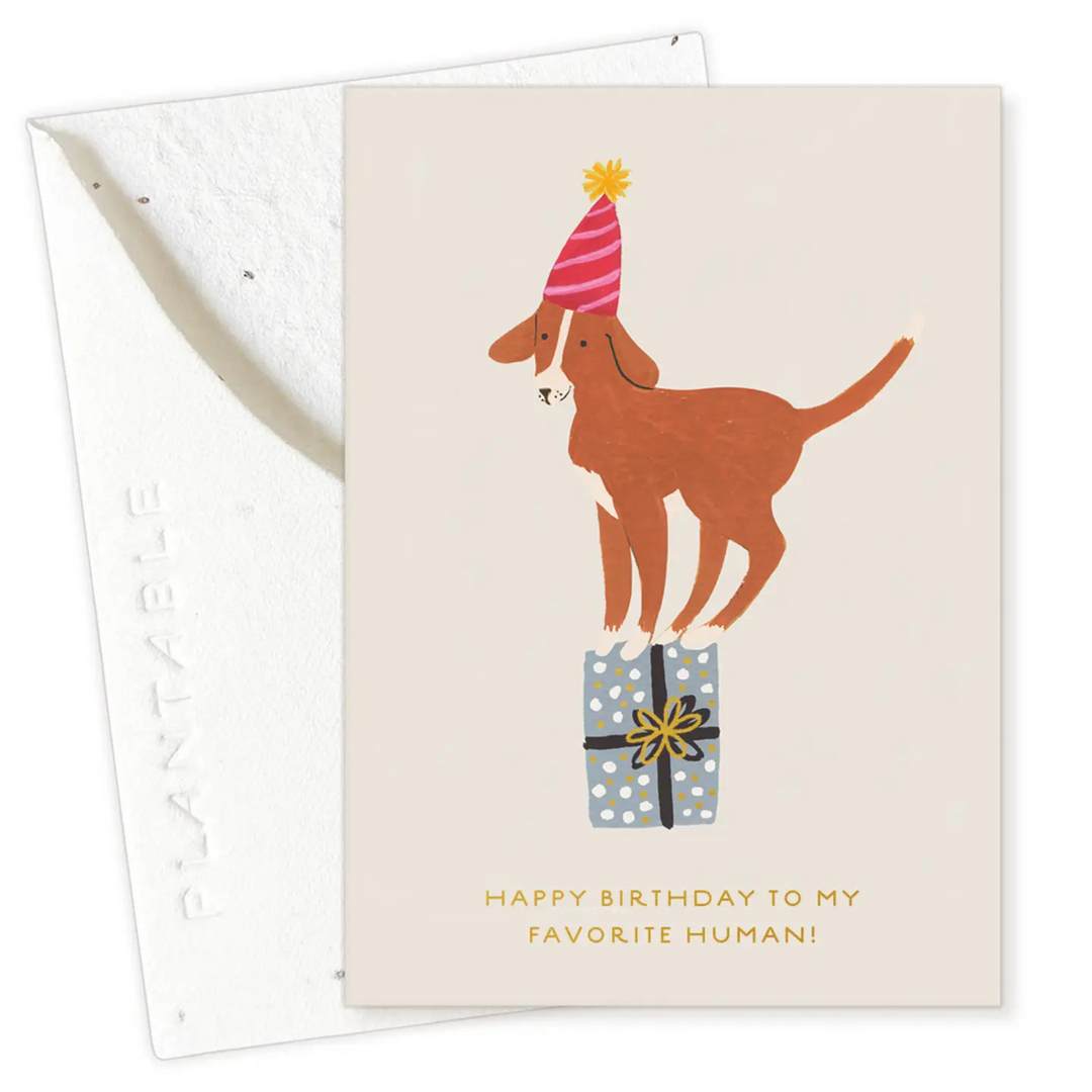 Birthday Dog Sprout - Mini Greeting Card
