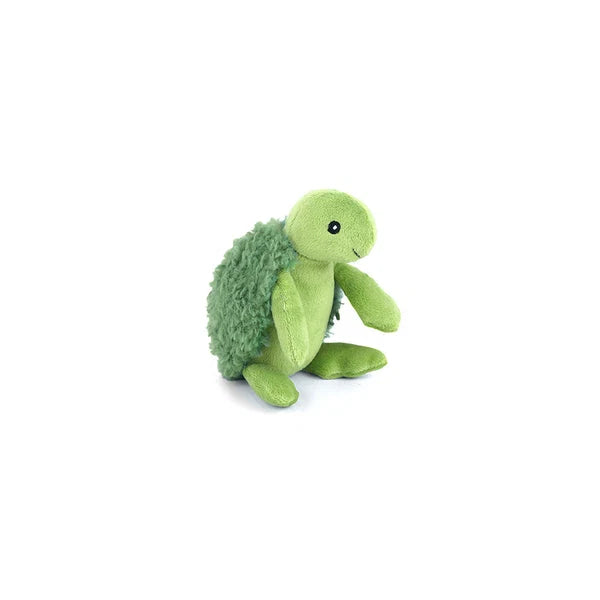 Baby Turtle