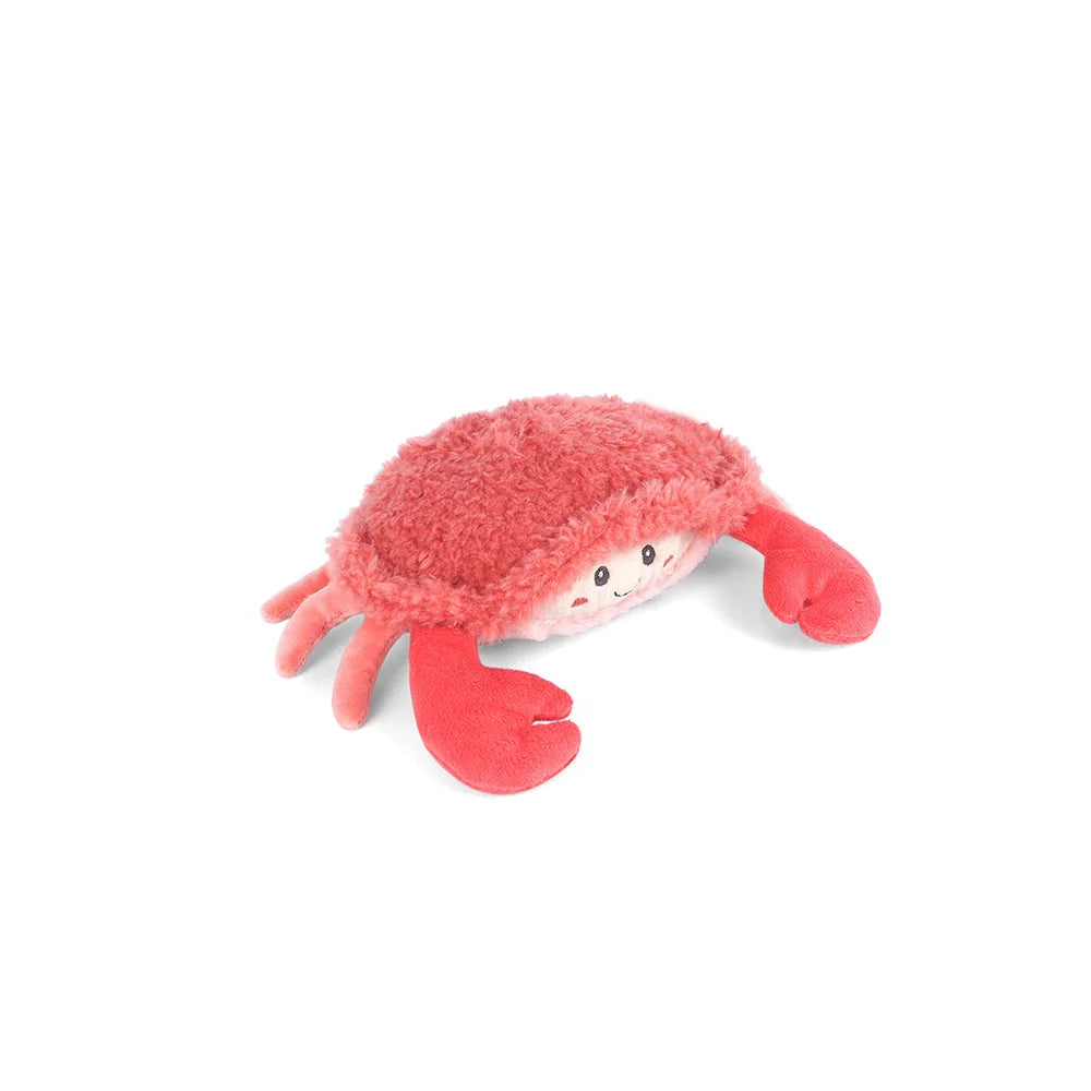 Pink Shy Crab