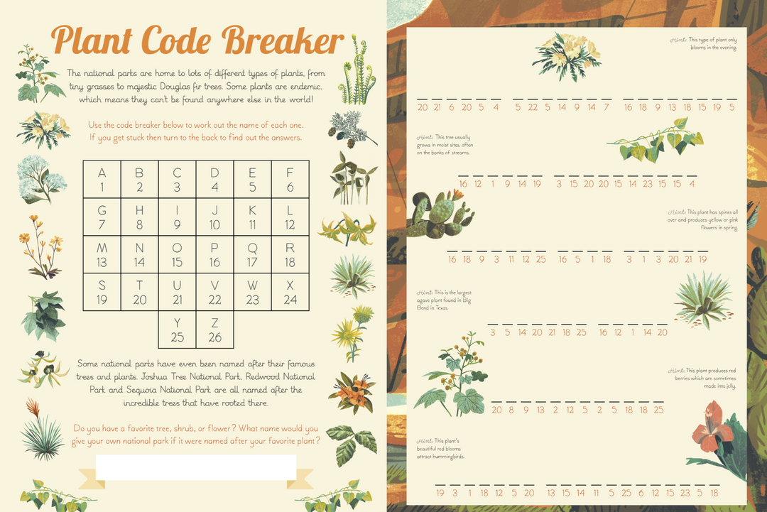 National Parks of the USA: Activity Book