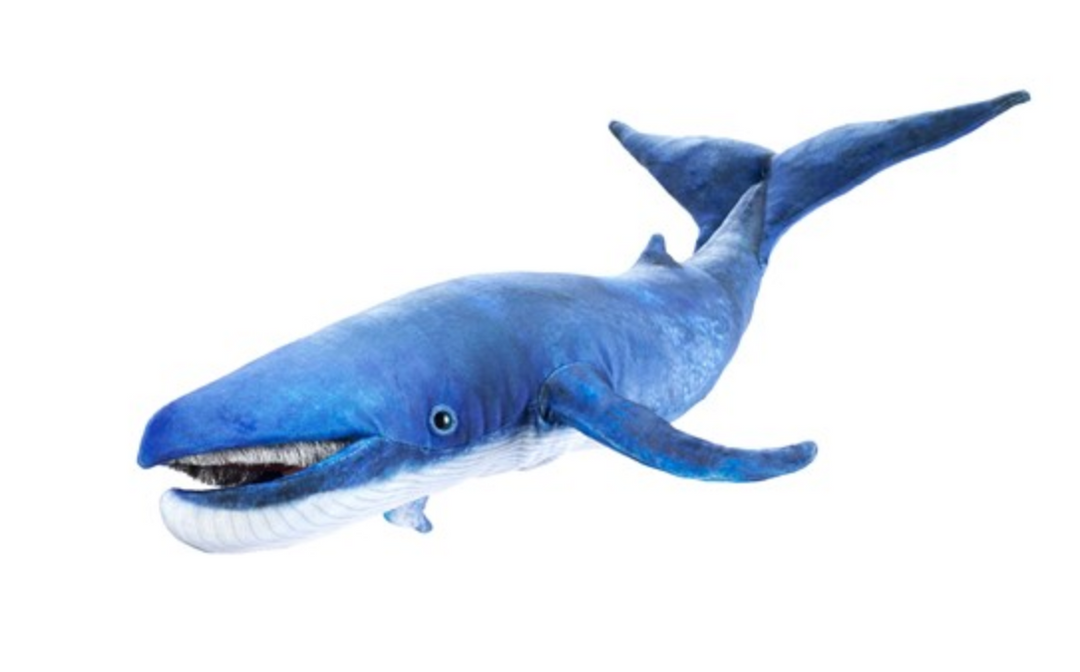 Blue Whale Puppet