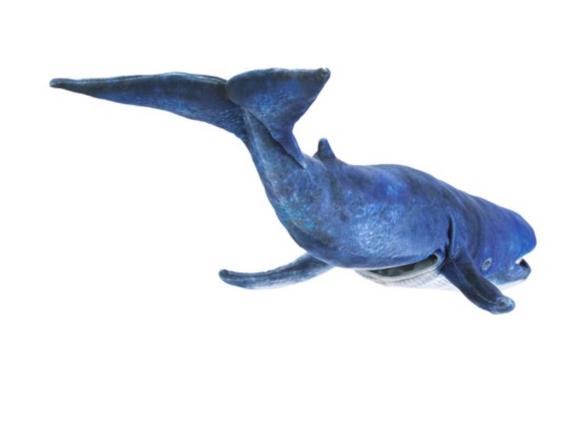 Blue Whale Puppet