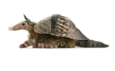 Armadillo Puppet