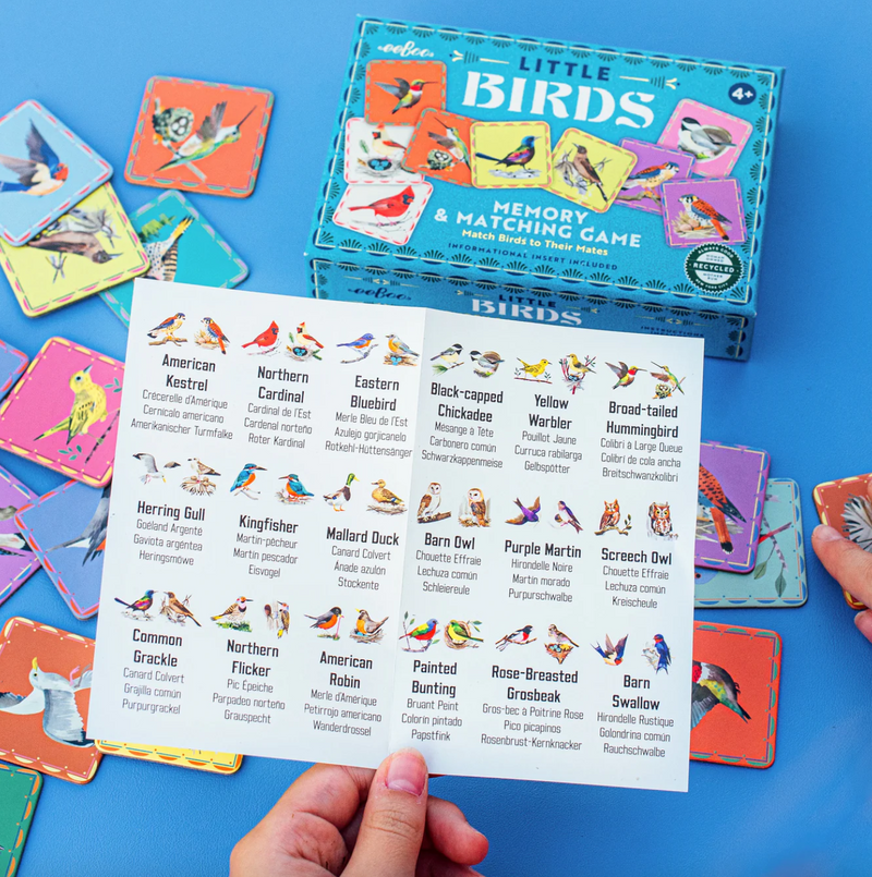 Birds Little Matching Game