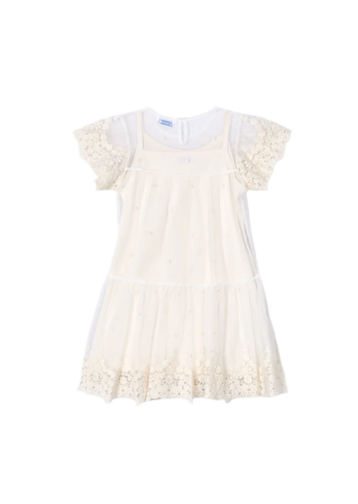 Layered Embroidered Tulle Dress