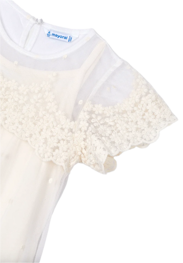 Layered Embroidered Tulle Dress
