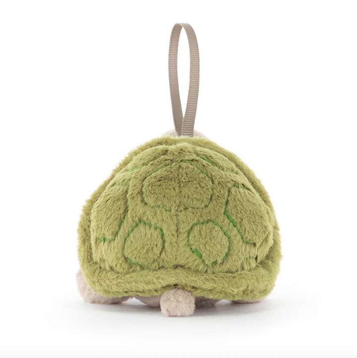 Timmy Turtle Decoartion