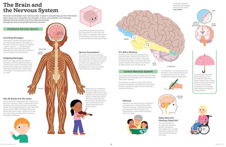 The Ultimate Book Of the Human Body