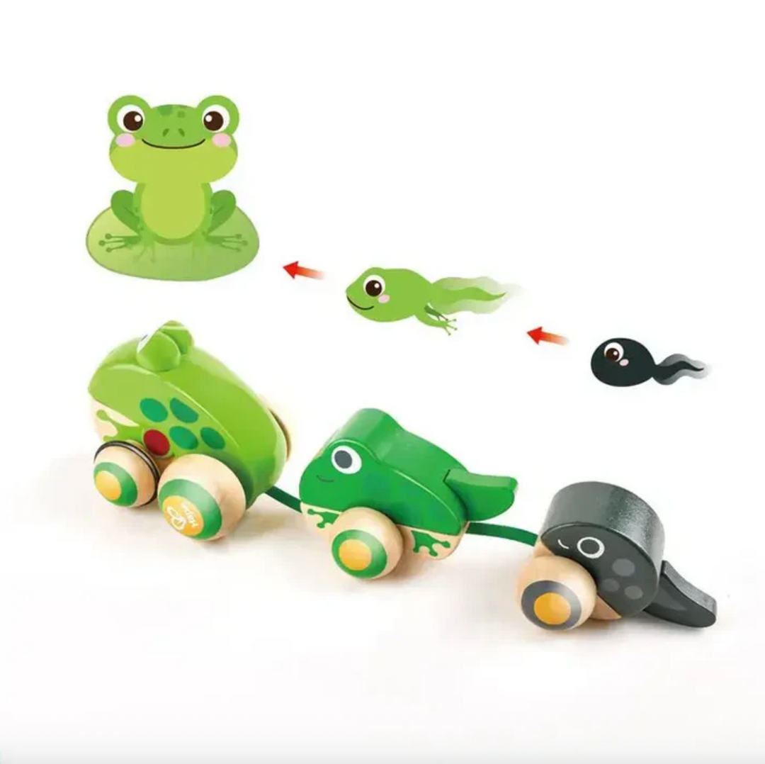 Pull-Along Frog Family
