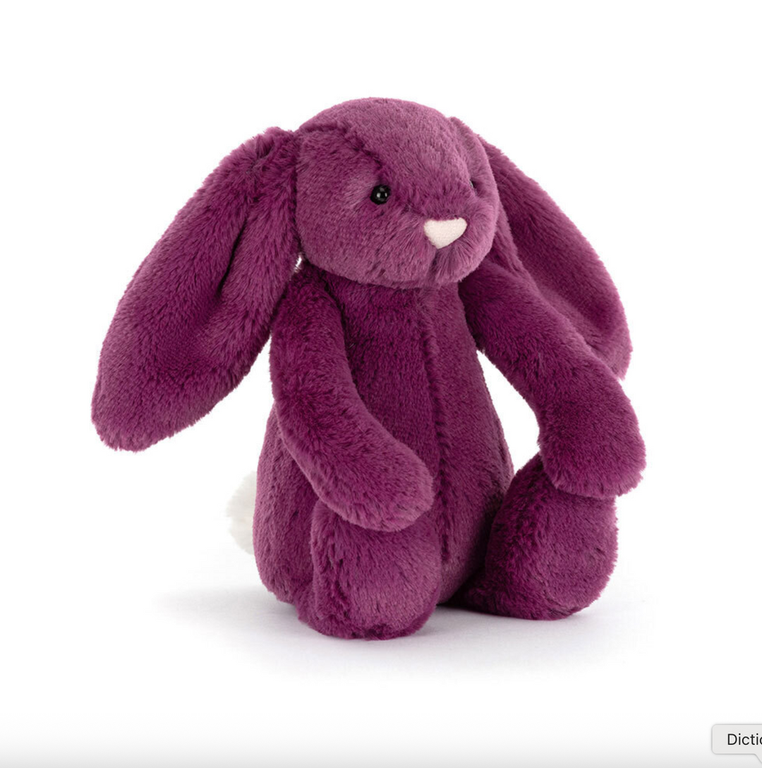 Bashful Allium Bunny