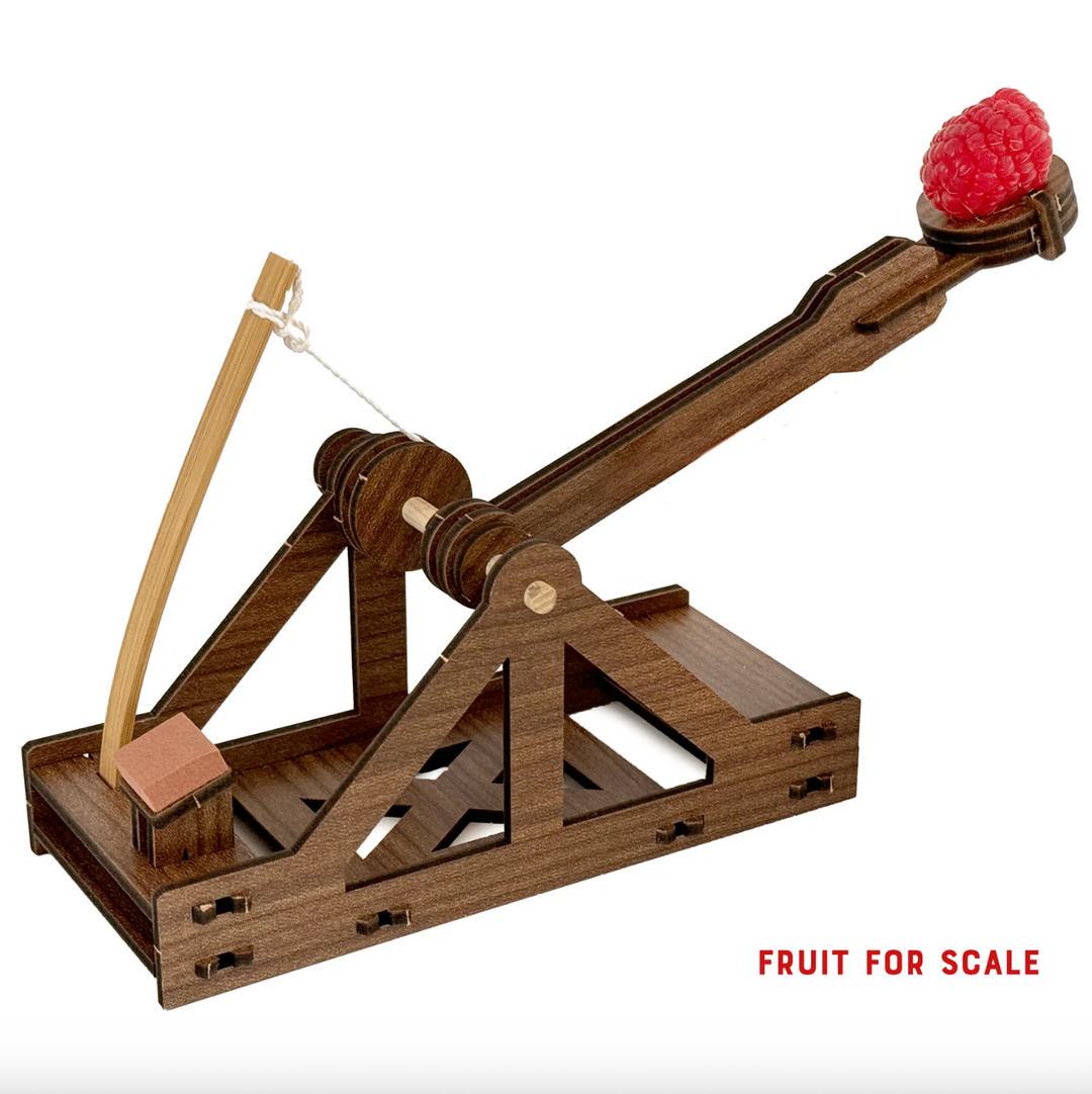 Mini Catapult: Siege Engine Engineering Kit